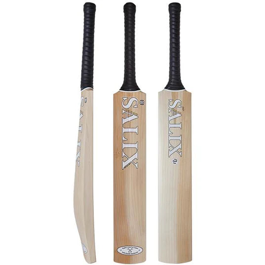 Salix AMP Alba Cricket Bat