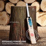 GM 2025 Diamond 606 English Willow Bat