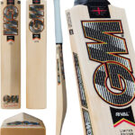 GM RIVAL 404 CRICKET BAT