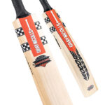 Gray Nicolls NeoCore 500 Black Cricket Bat