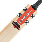 Gray Nicolls NeoCore 500 Black Cricket Bat
