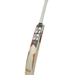 SS Vintage Pro Cricket Bat