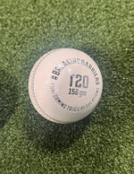 BBS White T20 Cricket ball