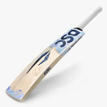 DSC Chris Lynn 50 Player Cricket Bat