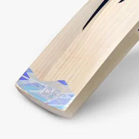 DSC Chris Lynn 50 Player Cricket Bat
