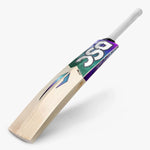 DSC RS 60 God's Plan English Willow Cricket Bat