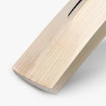 DSC RS 80 God's Plan English Willow Cricket Bat