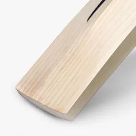 DSC RS 80 God's Plan English Willow Cricket Bat