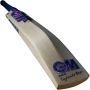 GM Galaxy DXM 404 Junior Cricket Bat