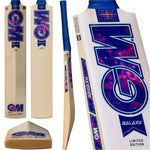 GM Galaxy DXM 404 Junior Cricket Bat
